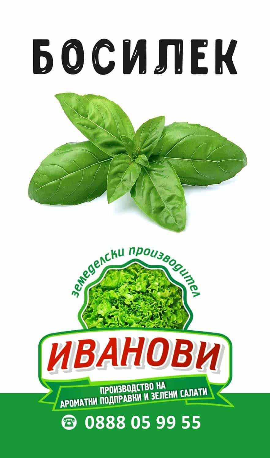 Зелени подправки - Иванови