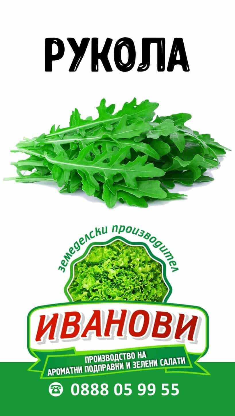 Зелени подправки - Иванови