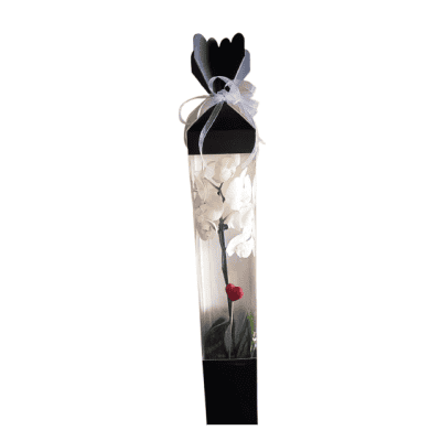 Орхидея в кутия