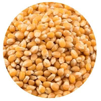 Царевица за пуканки дани