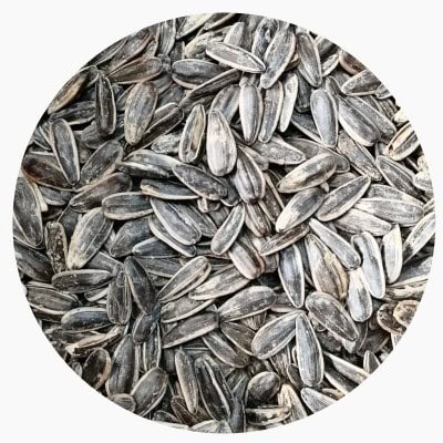 Слънчоглед шарен  печен дани