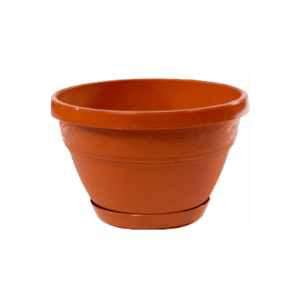 Саксия 20/11 лалеа с подл.