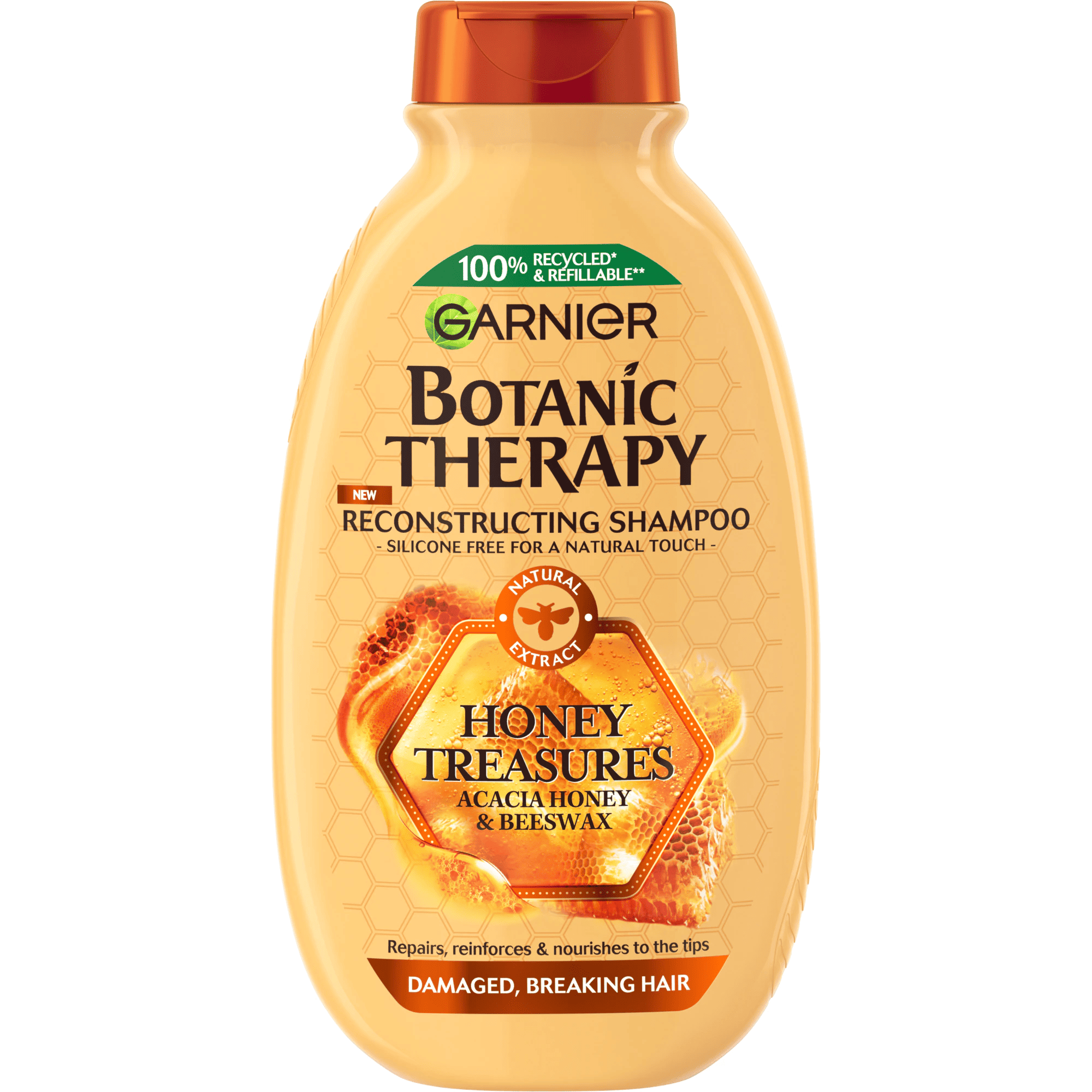 Ш-н Botanic Therapy Мед 250мл