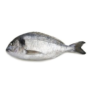 Риба ципура 800/1000 охл.