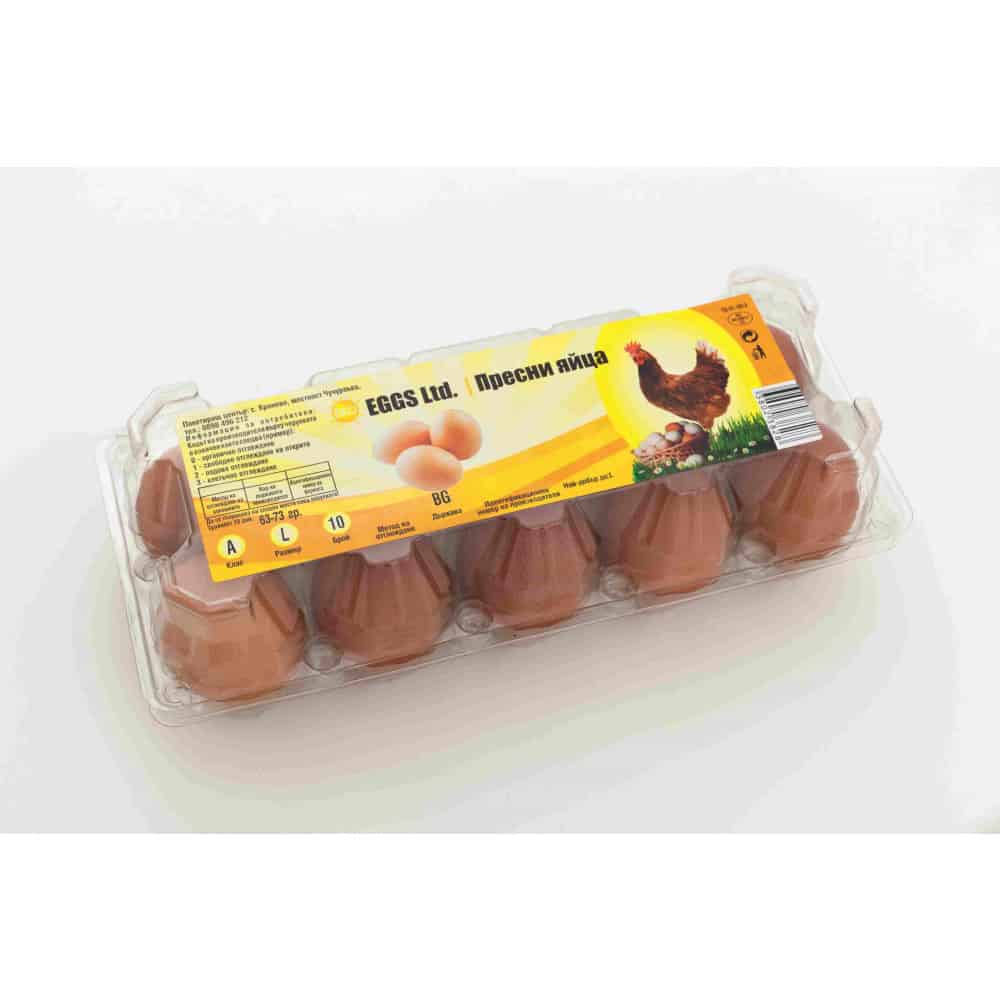 Пресни яйца, Eco Eggs L, 10бр
