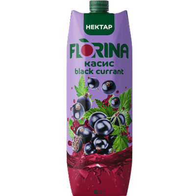 Плодова напитка Florina Касис 24% 1л