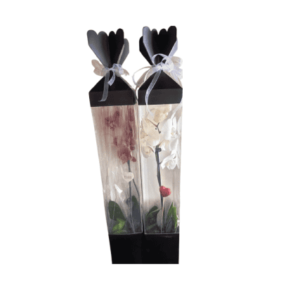 Орхидея в кутия