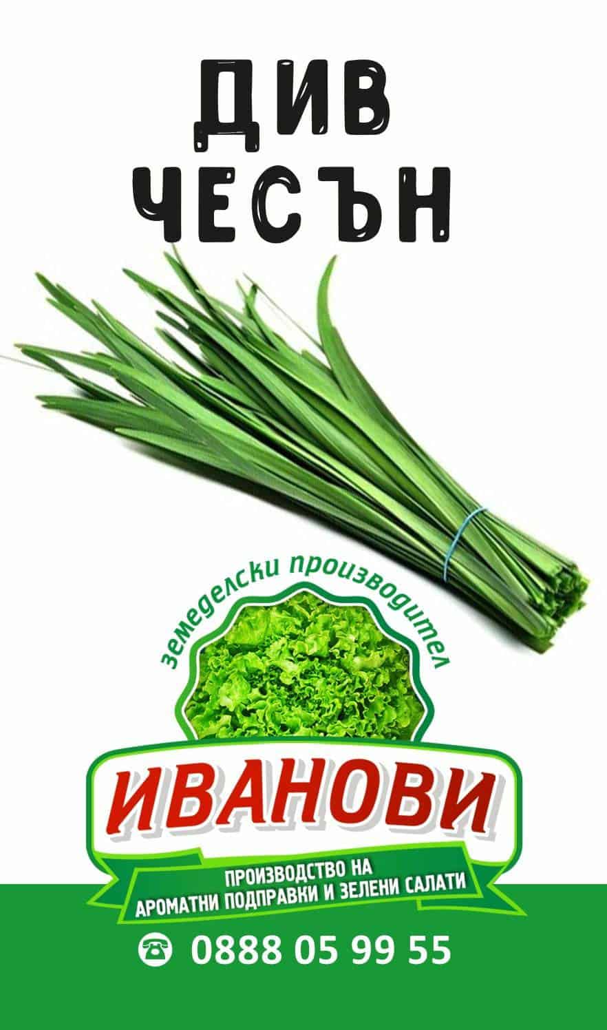 Зелени подправки - Иванови