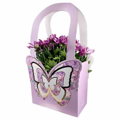 Хризантема в чанта