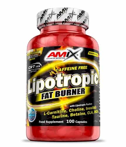 Lipotropic Fat Burner 100 Caps