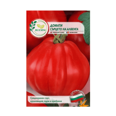 Домати - Сърцето на Албенга 1€