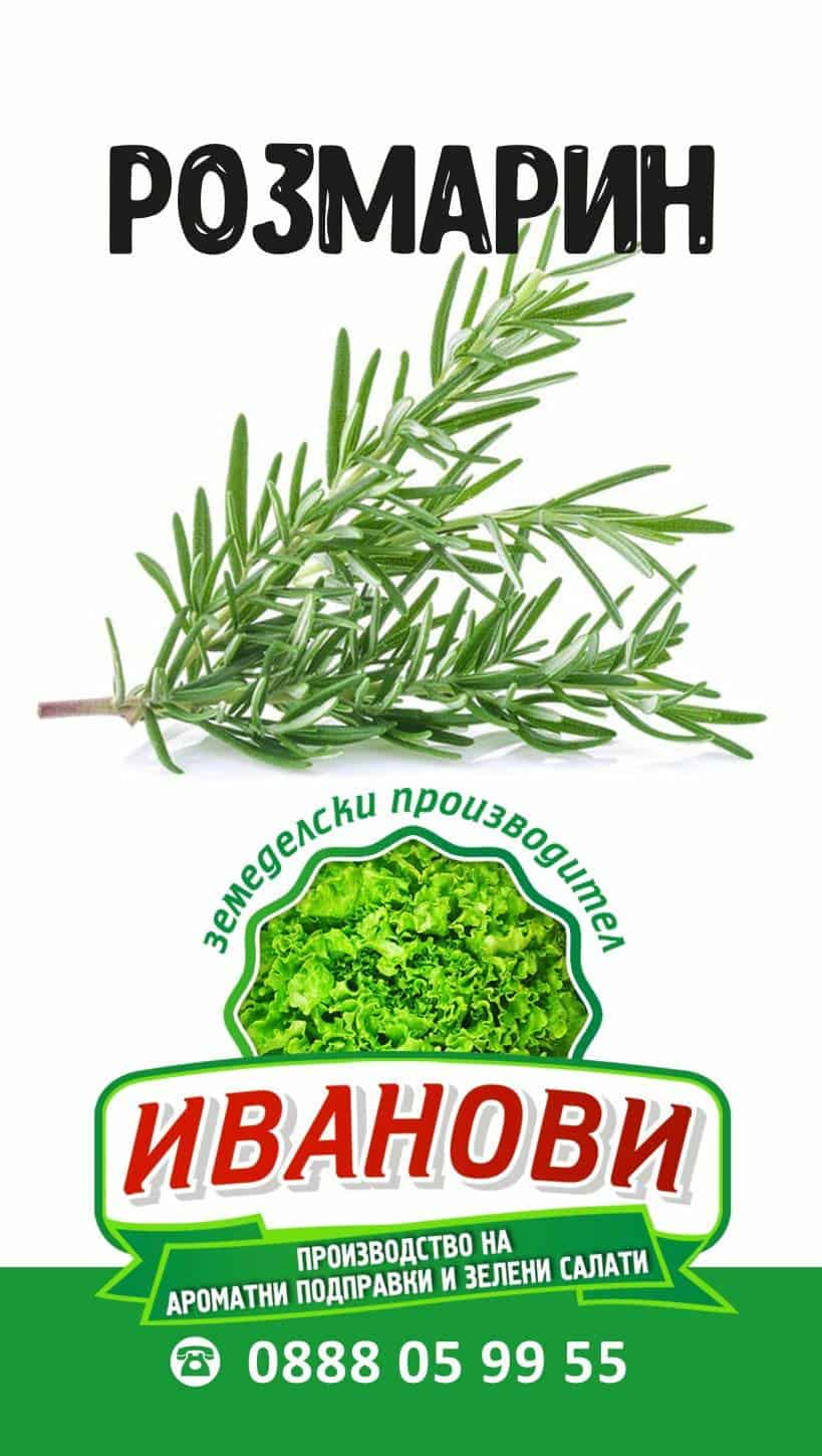 Зелени подправки - Иванови