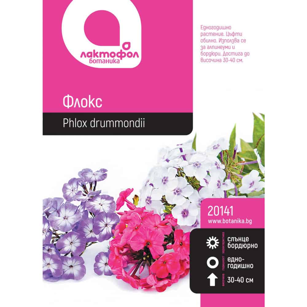 Семена Флокс Лактофол ботаник 