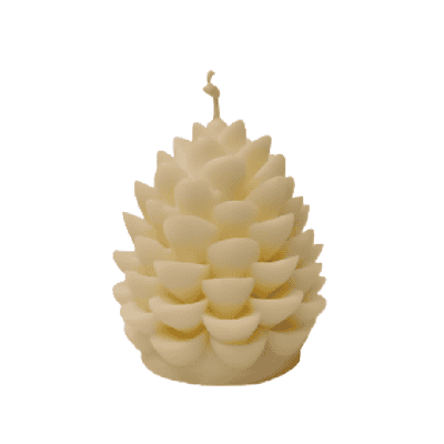 Свещ шишарка бяла