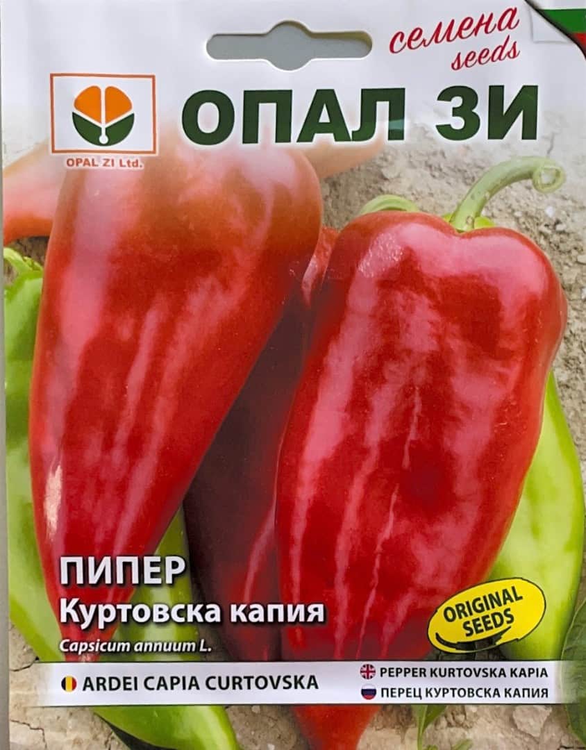 Пипер Куртовска капия 