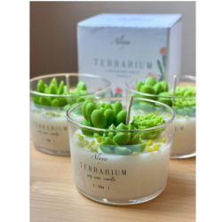 Свещ terrarium
