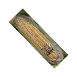 Царевица млечна II