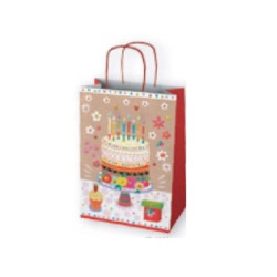 Торбичка код 102L 24х33х12см party