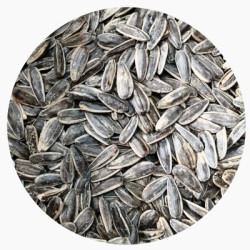 Слънчоглед шарен  печен дани