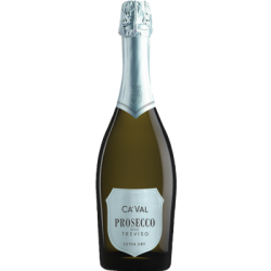 Пенливо вино Prosecco Treviso Dry 0.75л