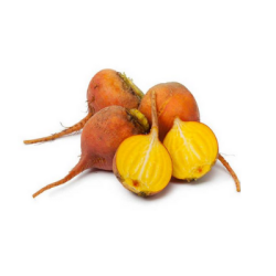 Жълто цвекло II