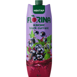 Плодова напитка Florina Касис 24% 1л