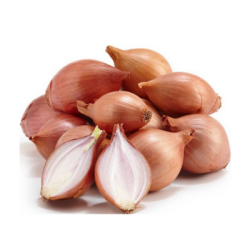 Лук шалот ІІ