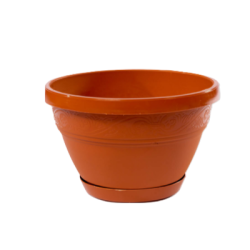 Саксия 24/15 лалеа с подл.