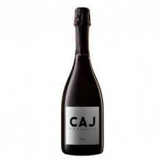 Пенливо вино Prosecco CAJ Extra Dry 0.75л