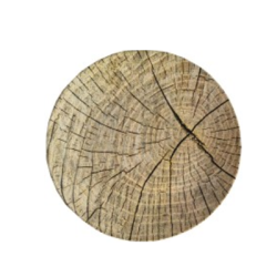 Чиния ege 26cm 17348 pt040025f-17348