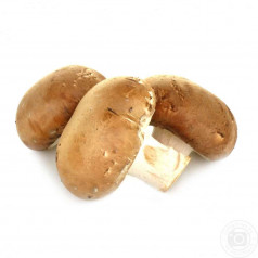 Гъби Кралска печурка 