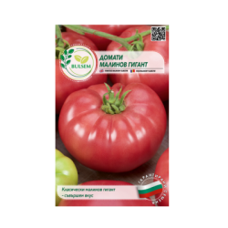 Домати - малинов гигант 1.50€