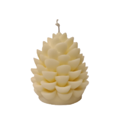 Свещ шишарка бяла