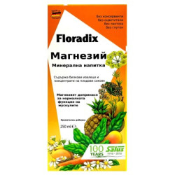 Floradix Магнезий 250 мл