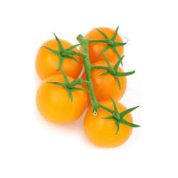 Жълти домати II