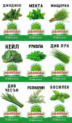 Зелени подправки - Иванови
